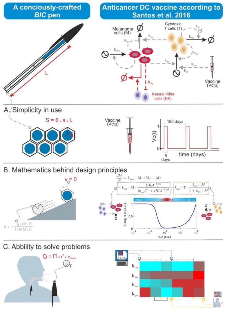 https://cdn.ncbi.nlm.nih.gov/pmc/blobs/a1ab/7826848/421b64ea9eca/ijms-22-00547-g004.jpg