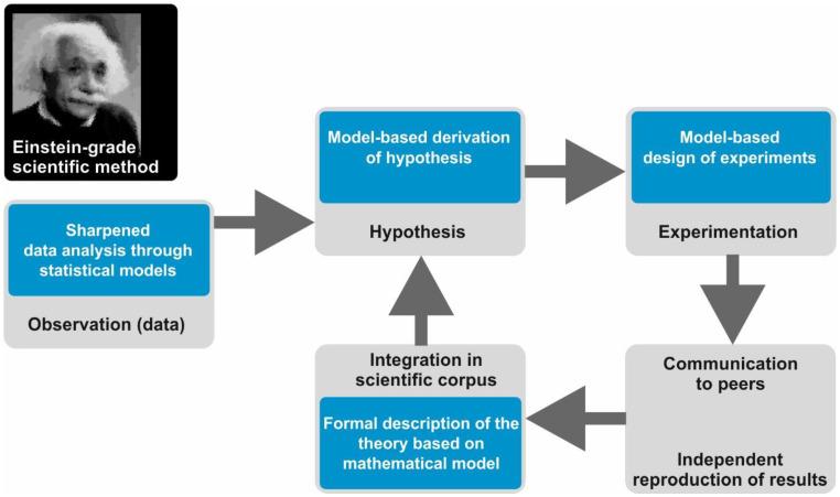 https://cdn.ncbi.nlm.nih.gov/pmc/blobs/a1ab/7826848/45c54f50fd08/ijms-22-00547-g002.jpg
