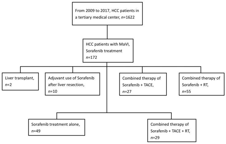 https://cdn.ncbi.nlm.nih.gov/pmc/blobs/a1ad/10216609/3f605951d488/cancers-15-02687-g001.jpg