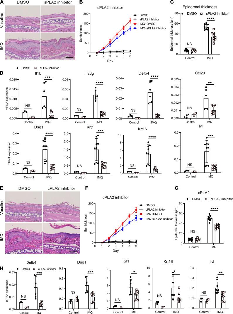 https://cdn.ncbi.nlm.nih.gov/pmc/blobs/a1af/8564909/0df4453bf679/jciinsight-6-151911-g007.jpg