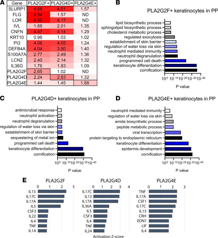 https://cdn.ncbi.nlm.nih.gov/pmc/blobs/a1af/8564909/f96f64df0bba/jciinsight-6-151911-g003.jpg