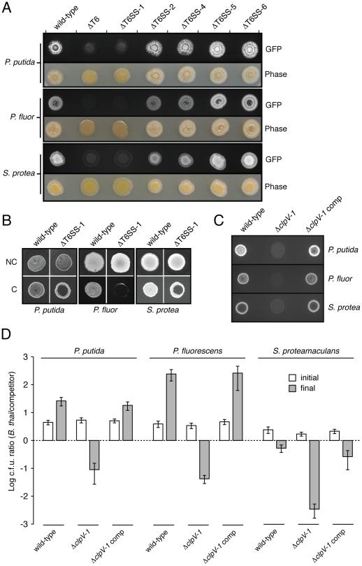 https://cdn.ncbi.nlm.nih.gov/pmc/blobs/a1b1/2928800/417b416c4cf1/ppat.1001068.g005.jpg