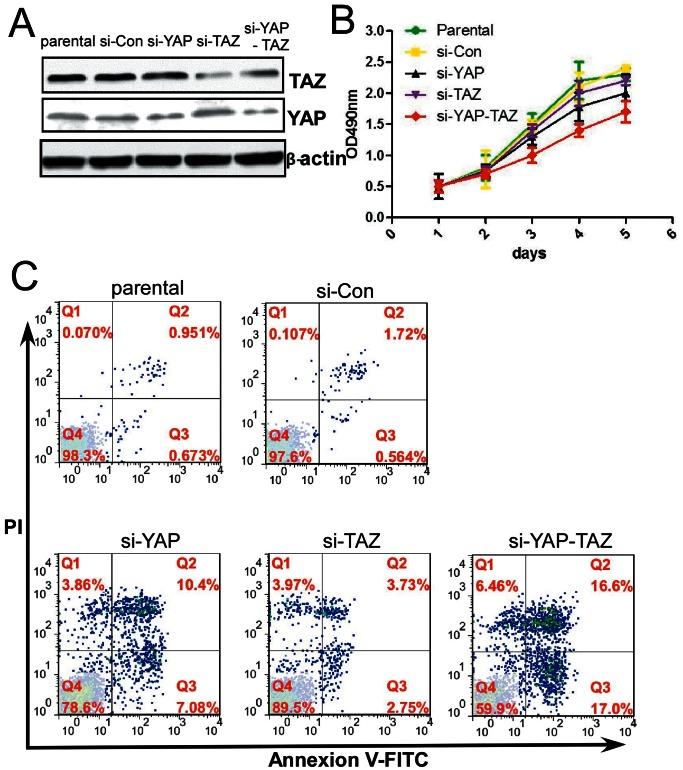 https://cdn.ncbi.nlm.nih.gov/pmc/blobs/a1b1/3677905/07601245f516/pone.0065539.g004.jpg