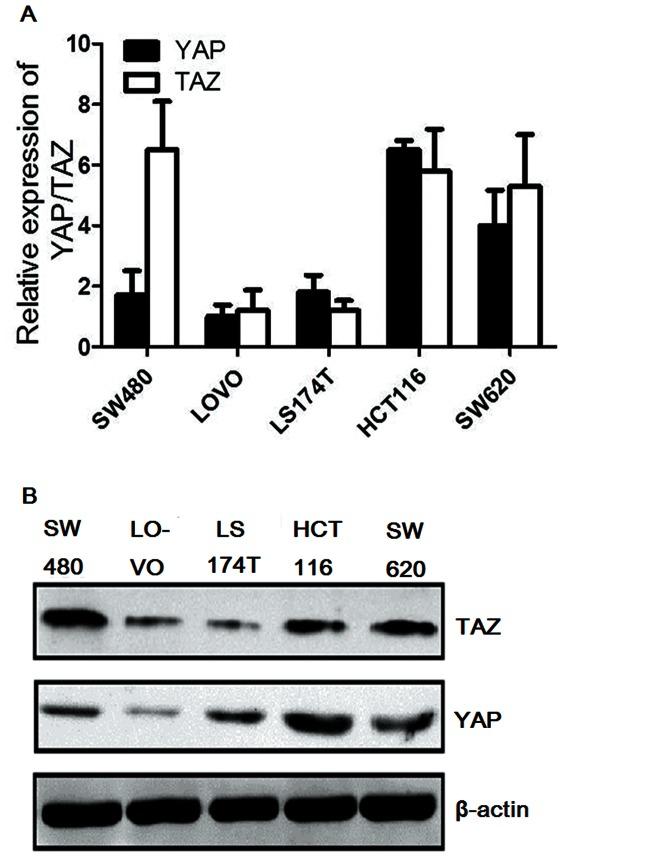 https://cdn.ncbi.nlm.nih.gov/pmc/blobs/a1b1/3677905/2c697aabe542/pone.0065539.g003.jpg