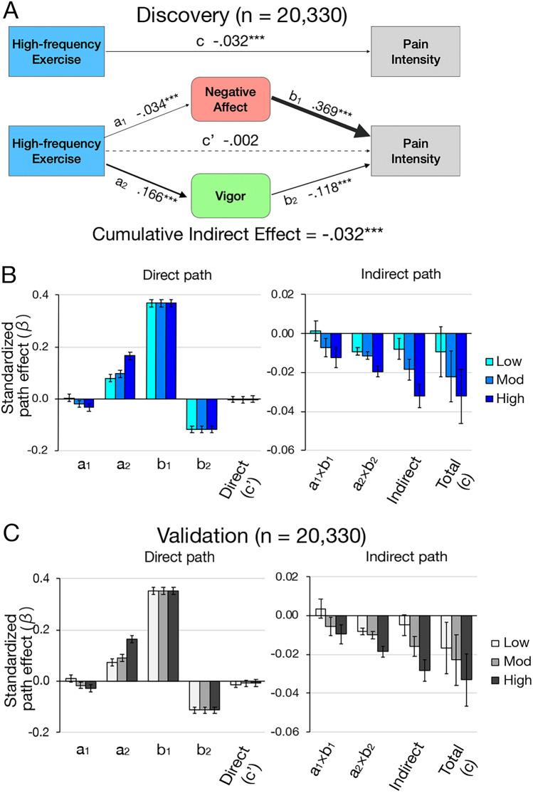 https://cdn.ncbi.nlm.nih.gov/pmc/blobs/a1b2/10985089/455dba820558/41598_2024_58340_Fig2_HTML.jpg