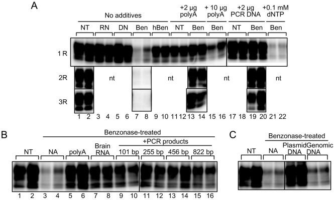 https://cdn.ncbi.nlm.nih.gov/pmc/blobs/a1b2/3867355/edc8536e32e9/pone.0082538.g003.jpg