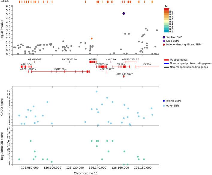 https://cdn.ncbi.nlm.nih.gov/pmc/blobs/a1b2/8554120/ef46c3ea22cf/fgene-12-716558-g004.jpg