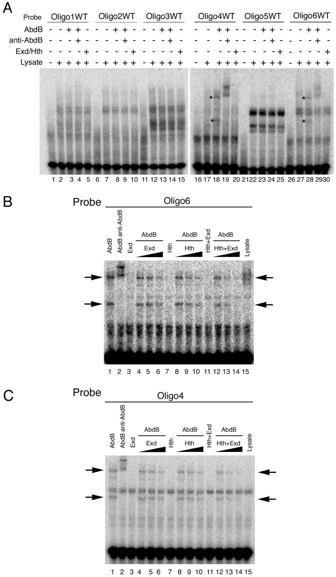 https://cdn.ncbi.nlm.nih.gov/pmc/blobs/a1b3/3567137/2d1537a23b31/pgen.1003252.g007.jpg