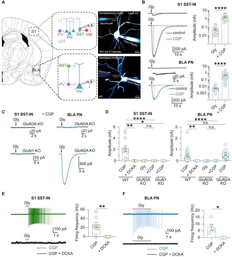 https://cdn.ncbi.nlm.nih.gov/pmc/blobs/a1b3/9365314/a5d933eef452/gr1.jpg