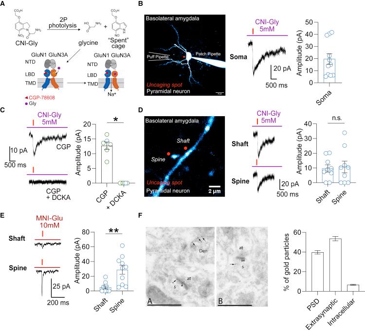 https://cdn.ncbi.nlm.nih.gov/pmc/blobs/a1b3/9365314/f49acac16b07/gr3.jpg