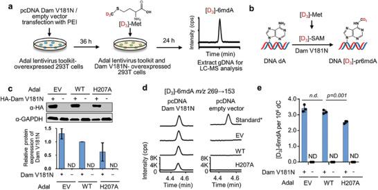 https://cdn.ncbi.nlm.nih.gov/pmc/blobs/a1b5/11425204/d06b6b0438c7/ADVS-11-2403376-g003.jpg