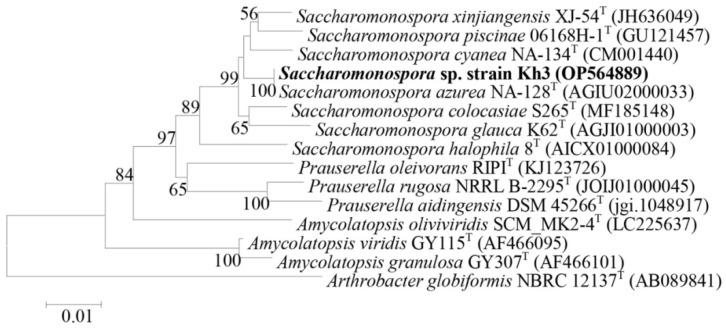 https://cdn.ncbi.nlm.nih.gov/pmc/blobs/a1b6/11051818/045061316ec0/microorganisms-12-00834-g003.jpg