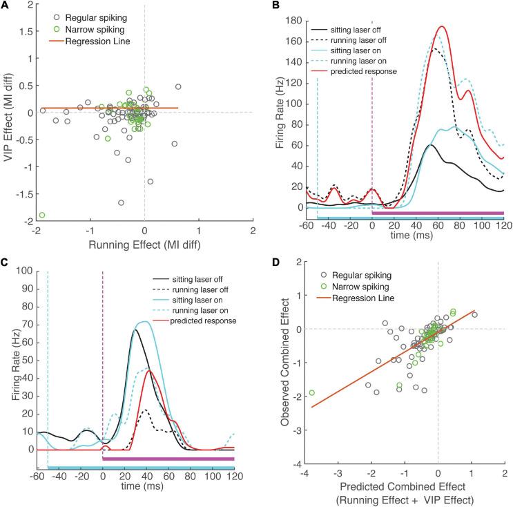 https://cdn.ncbi.nlm.nih.gov/pmc/blobs/a1b8/8058405/b3da62043c68/fncir-15-618881-g005.jpg