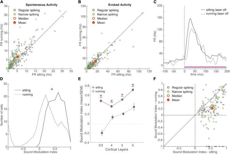 https://cdn.ncbi.nlm.nih.gov/pmc/blobs/a1b8/8058405/fd098e866978/fncir-15-618881-g002.jpg