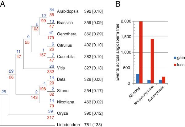 https://cdn.ncbi.nlm.nih.gov/pmc/blobs/a1b9/3646698/be6719e43a2a/1741-7007-11-29-5.jpg