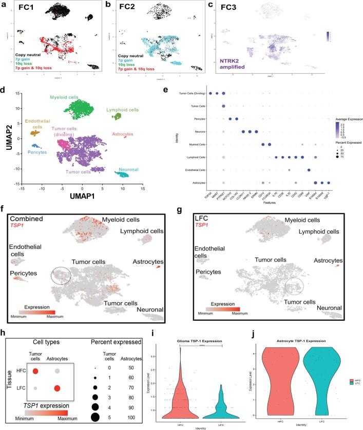 https://cdn.ncbi.nlm.nih.gov/pmc/blobs/a1bc/10191851/0882be6a97f2/41586_2023_6036_Fig10_ESM.jpg