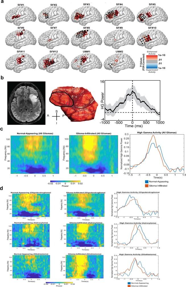 https://cdn.ncbi.nlm.nih.gov/pmc/blobs/a1bc/10191851/2d6d485dd7e9/41586_2023_6036_Fig6_ESM.jpg