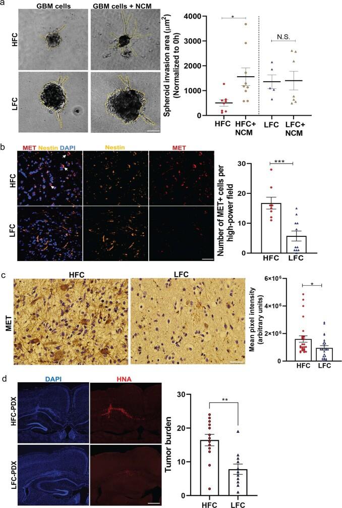 https://cdn.ncbi.nlm.nih.gov/pmc/blobs/a1bc/10191851/31ab029a7394/41586_2023_6036_Fig13_ESM.jpg