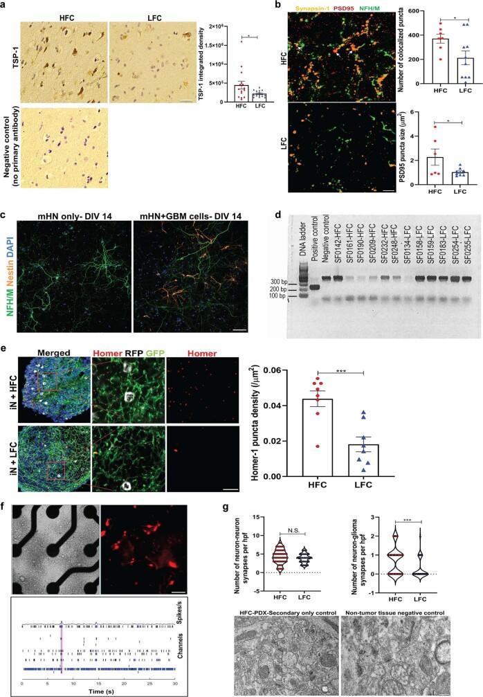 https://cdn.ncbi.nlm.nih.gov/pmc/blobs/a1bc/10191851/58630fc3c925/41586_2023_6036_Fig11_ESM.jpg