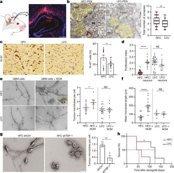 https://cdn.ncbi.nlm.nih.gov/pmc/blobs/a1bc/10191851/827acb227a9c/41586_2023_6036_Fig3_HTML.jpg