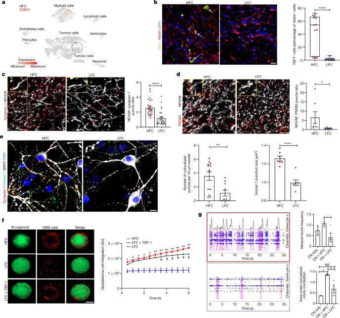 https://cdn.ncbi.nlm.nih.gov/pmc/blobs/a1bc/10191851/9ef14b6687ef/41586_2023_6036_Fig2_HTML.jpg