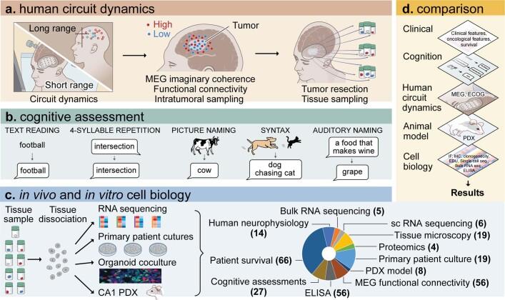 https://cdn.ncbi.nlm.nih.gov/pmc/blobs/a1bc/10191851/aa3dd6b14c20/41586_2023_6036_Fig5_ESM.jpg
