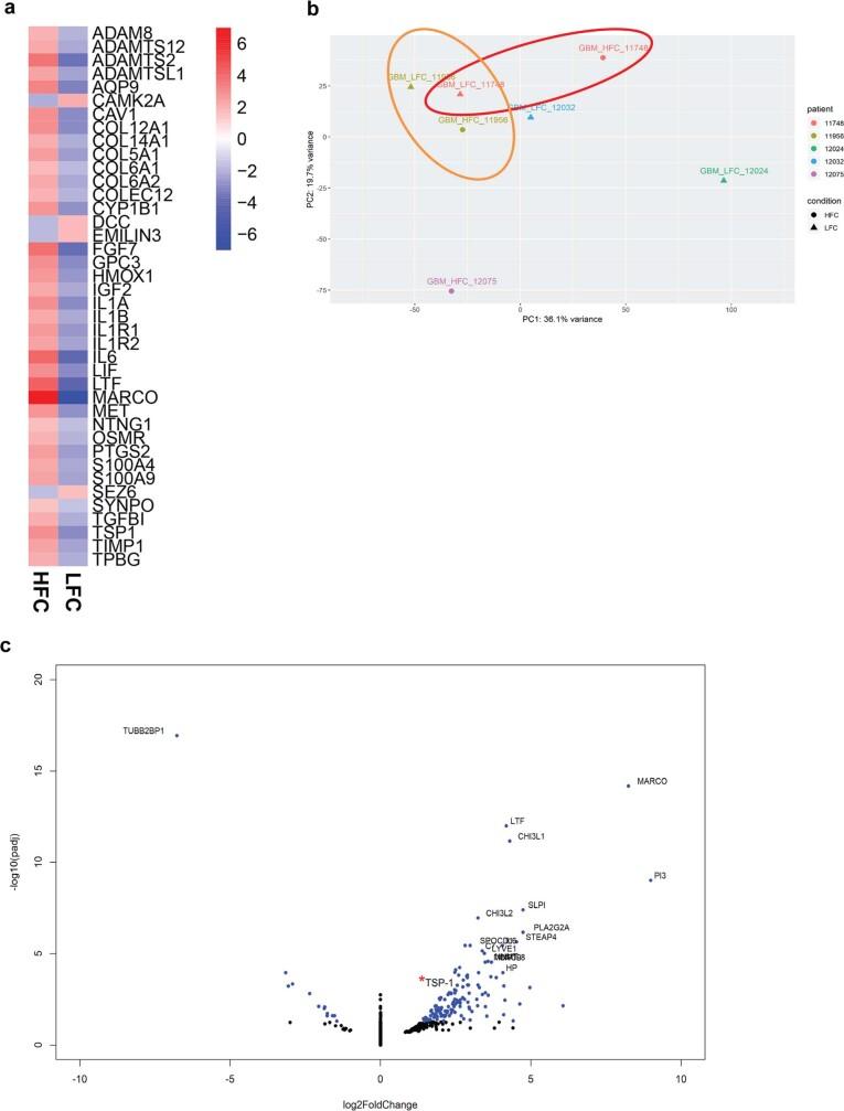 https://cdn.ncbi.nlm.nih.gov/pmc/blobs/a1bc/10191851/ddd10e57bb73/41586_2023_6036_Fig9_ESM.jpg