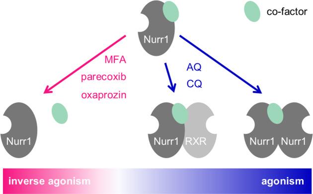 https://cdn.ncbi.nlm.nih.gov/pmc/blobs/a1bc/9814838/991c9227ce80/42004_2020_331_Fig6_HTML.jpg