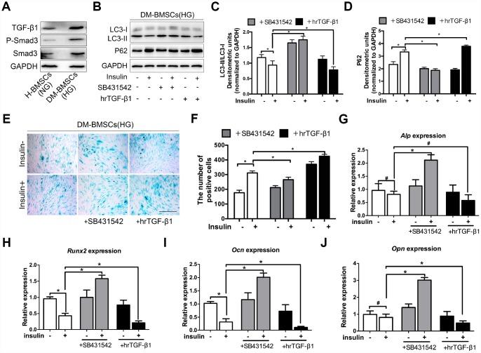 https://cdn.ncbi.nlm.nih.gov/pmc/blobs/a1be/7041775/04f0dcda9253/aging-12-102723-g004.jpg