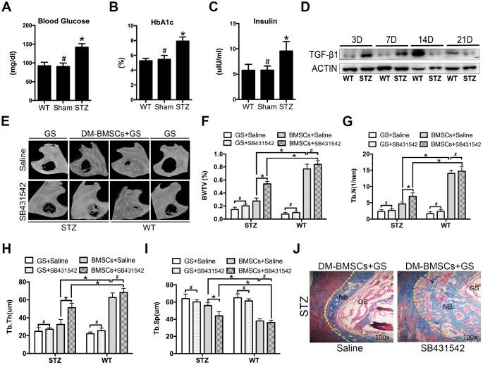 https://cdn.ncbi.nlm.nih.gov/pmc/blobs/a1be/7041775/6cae23e2acab/aging-12-102723-g005.jpg