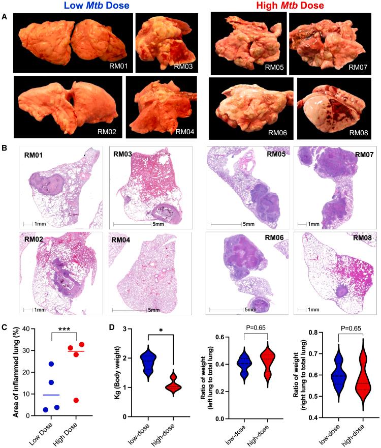 https://cdn.ncbi.nlm.nih.gov/pmc/blobs/a1bf/12270685/50da31f5836c/gr3.jpg