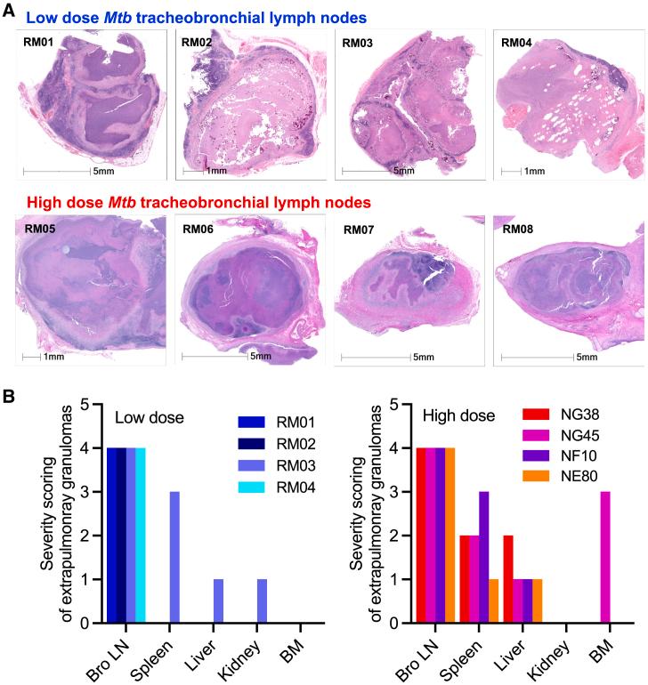 https://cdn.ncbi.nlm.nih.gov/pmc/blobs/a1bf/12270685/5989535fe701/gr4.jpg