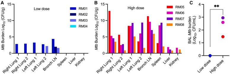 https://cdn.ncbi.nlm.nih.gov/pmc/blobs/a1bf/12270685/acd0b5cd0cf5/gr2.jpg