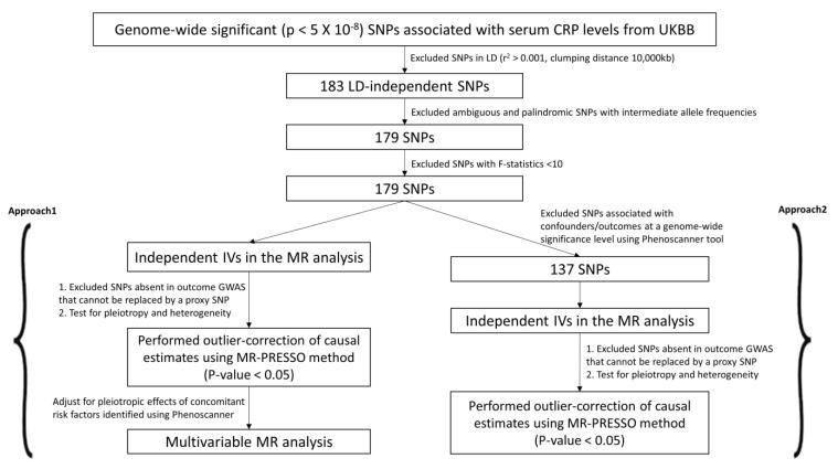 https://cdn.ncbi.nlm.nih.gov/pmc/blobs/a1c1/10252732/2a963b1c9dca/ijms-24-09129-g002.jpg
