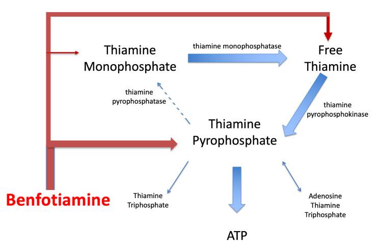 https://cdn.ncbi.nlm.nih.gov/pmc/blobs/a1c2/10274516/b3dff3dcb773/cureus-0015-00000040511-i02.jpg