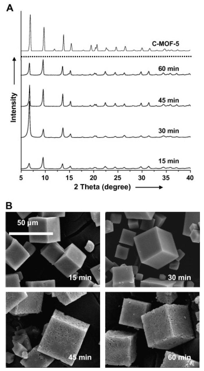https://cdn.ncbi.nlm.nih.gov/pmc/blobs/a1c2/8746597/64d846328b89/molecules-27-00100-g003.jpg