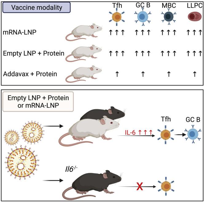 https://cdn.ncbi.nlm.nih.gov/pmc/blobs/a1c4/8566475/413772b02bba/fx1_lrg.jpg