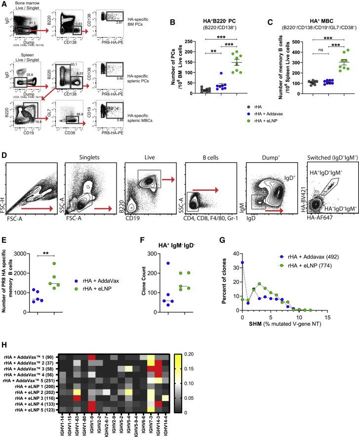 https://cdn.ncbi.nlm.nih.gov/pmc/blobs/a1c4/8566475/82ddbcc72782/gr3_lrg.jpg