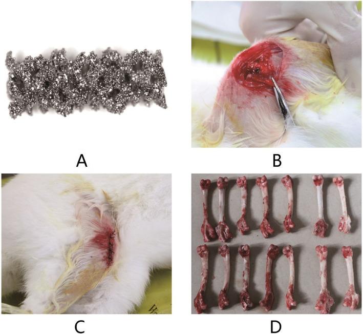 https://cdn.ncbi.nlm.nih.gov/pmc/blobs/a1c5/7488860/020d8442065c/13018_2020_1931_Fig1_HTML.jpg