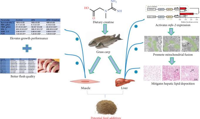https://cdn.ncbi.nlm.nih.gov/pmc/blobs/a1c6/12081150/0592c141dddc/ANU2025-1151656.005.jpg