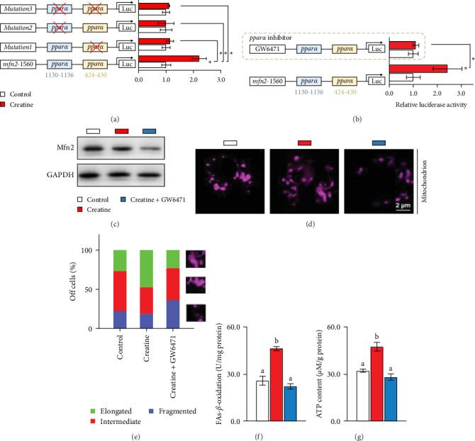 https://cdn.ncbi.nlm.nih.gov/pmc/blobs/a1c6/12081150/c1f2e3ea6aab/ANU2025-1151656.004.jpg