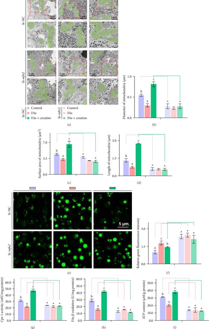 https://cdn.ncbi.nlm.nih.gov/pmc/blobs/a1c6/12081150/fc1451bcc0c5/ANU2025-1151656.003.jpg