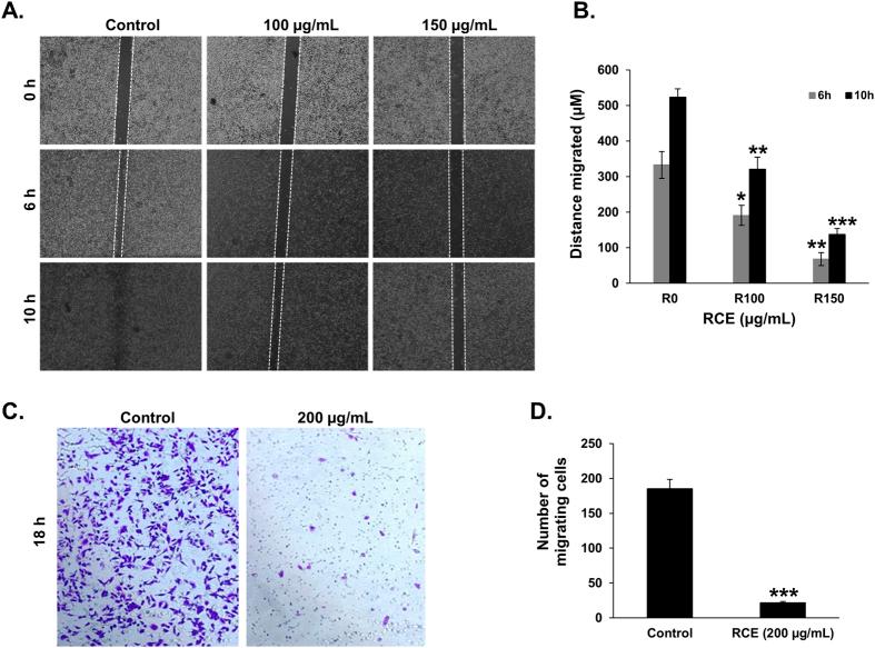 https://cdn.ncbi.nlm.nih.gov/pmc/blobs/a1c6/4758048/cc75e8df6f64/srep21144-f1.jpg