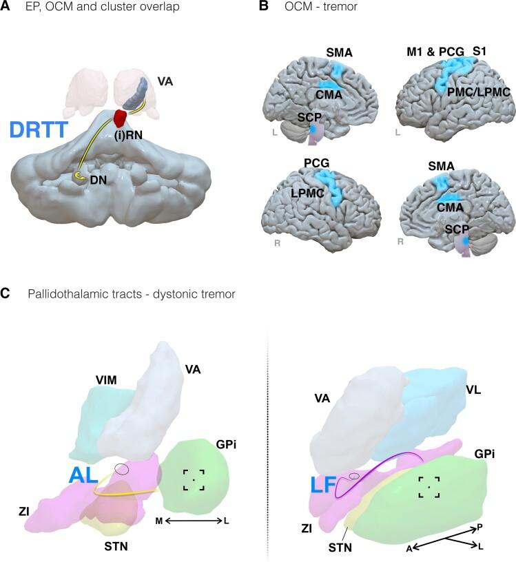 https://cdn.ncbi.nlm.nih.gov/pmc/blobs/a1c7/10257440/0499bef3679e/fcad171f9.jpg