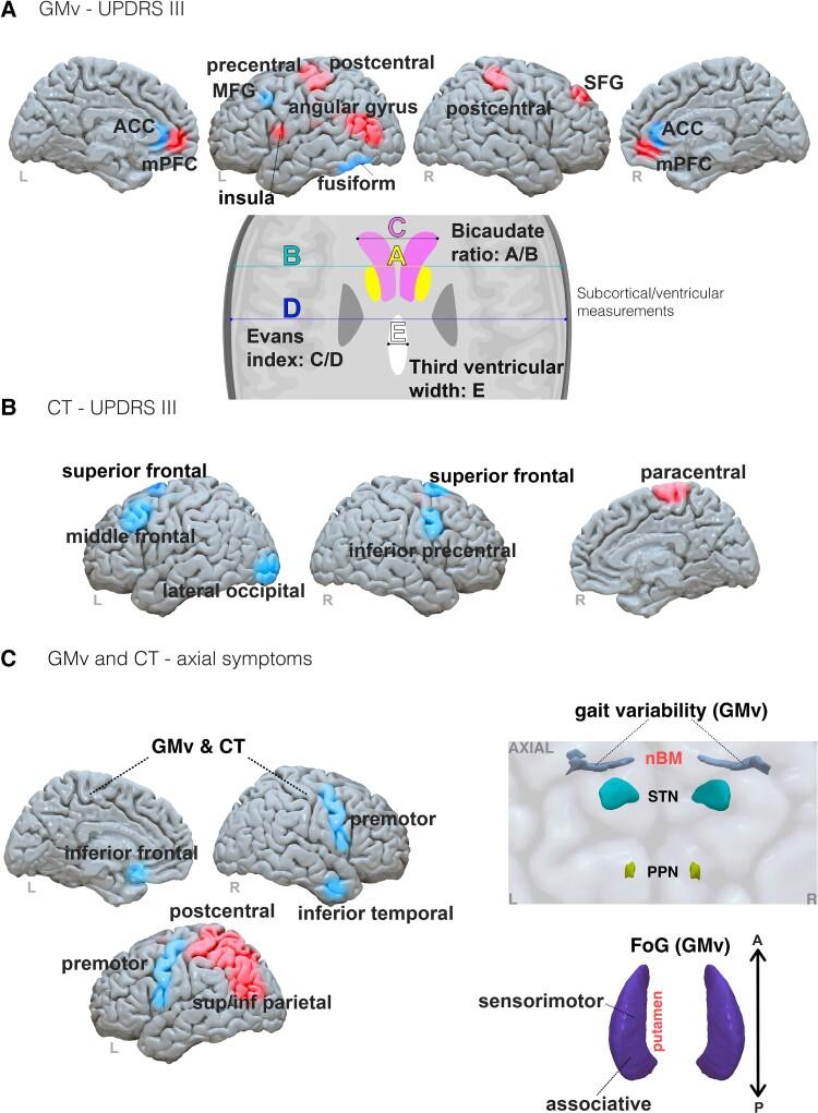 https://cdn.ncbi.nlm.nih.gov/pmc/blobs/a1c7/10257440/7874695e1090/fcad171f5.jpg
