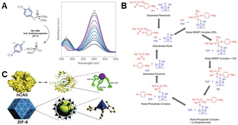 https://cdn.ncbi.nlm.nih.gov/pmc/blobs/a1c8/9030423/a3917f2837a0/biosensors-12-00251-g004.jpg