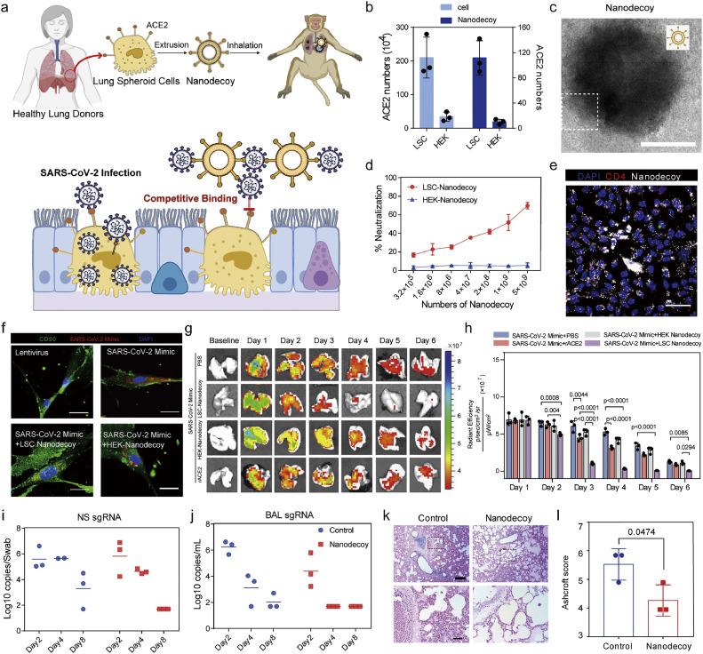 https://cdn.ncbi.nlm.nih.gov/pmc/blobs/a1cb/11997600/b65db98b9768/gr3.jpg