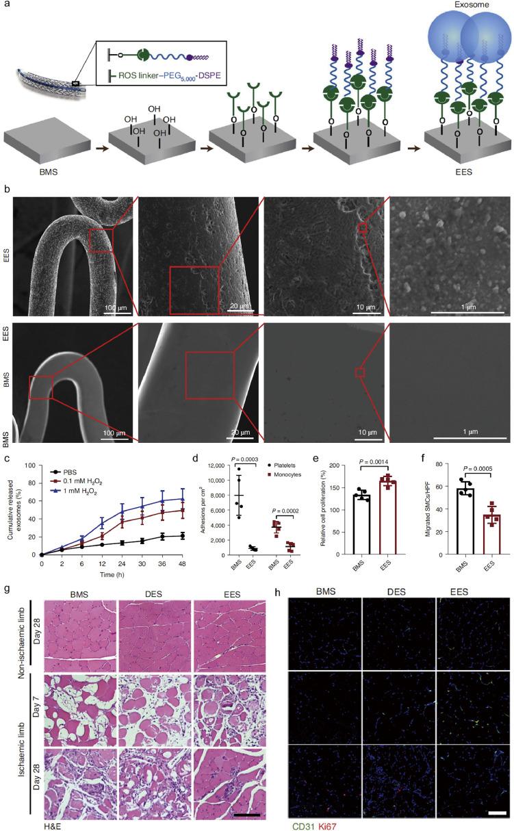 https://cdn.ncbi.nlm.nih.gov/pmc/blobs/a1cb/11997600/fe18a5b007e0/gr4.jpg