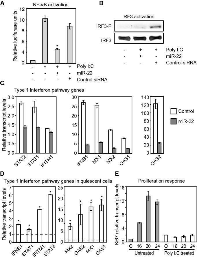 https://cdn.ncbi.nlm.nih.gov/pmc/blobs/a1cb/3575845/0511946e2118/gks1452f4p.jpg