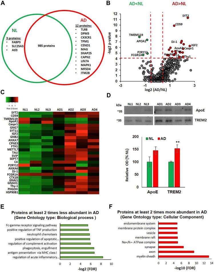 https://cdn.ncbi.nlm.nih.gov/pmc/blobs/a1cb/8675946/d3737122cafd/fphar-12-766082-g002.jpg